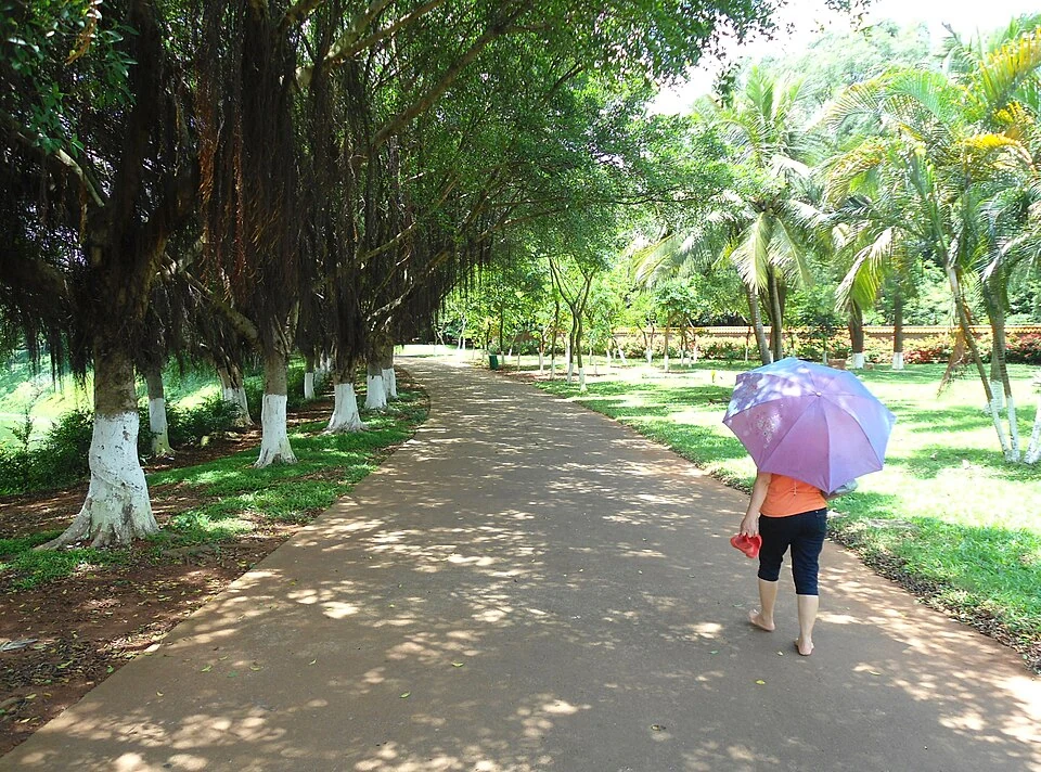 Парк Цзиньнюлин — Jinniuling Park